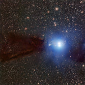 The Lupus 3 dark cloud and associated hot young stars 