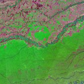 A Curve in the River