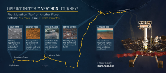 Your poster as an infographic