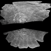 Cassini's SAR image of Iapetus