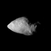 Asteroid Annefrank