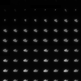 All of Stardust's images of Annefrank