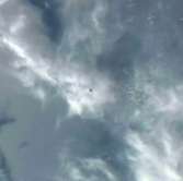 Dragon fly-under in progress