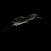 Lutetia's crescent, in color