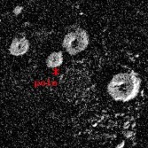 Radar image of Mercury's north pole