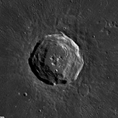 Harpalus crater