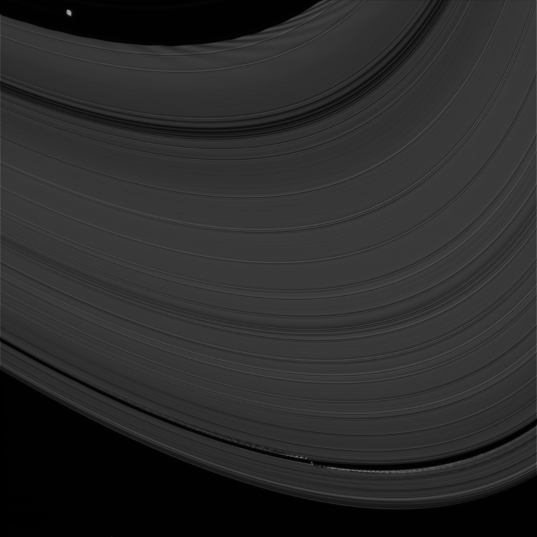 Pan and Daphnis and their ring waves