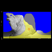 Expected image area for Stardust Tempel 1 flyby
