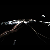 IKAROS self-portrait with Venus