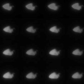 All of Stardust's images of Annefrank (montage by Emily Lakdawalla)