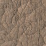 Swirl patterns in a HiRISE image of a lava flow on Mars