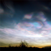 Polar stratospheric clouds