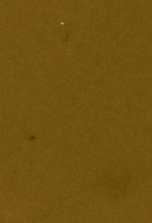 Phoenix lander, sol 21