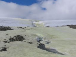Sulfur-stained snow and ice, Borup Fiord Pass