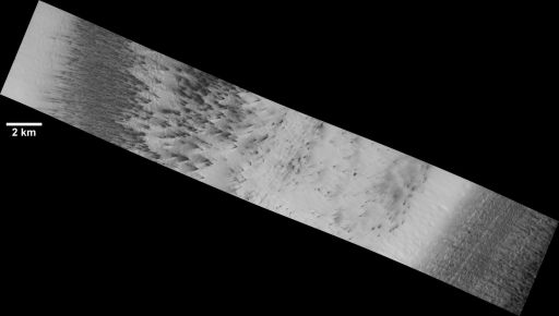 Dark dust fans on the defrosting south polar cap of Mars