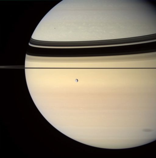 Rhea, ring shadows, and moon shadows on Saturn