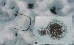 Cryoconites in glacier ice