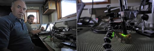Contact Raman Spectrometer