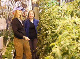 Amy and Jani admire the tomato crop