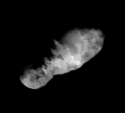Comet 19P/Borrelly, target of Deep Space 1