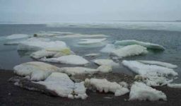 Pack ice in Resolute Bay