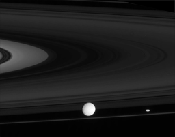 Mimas, Prometheus, and the rings in motion