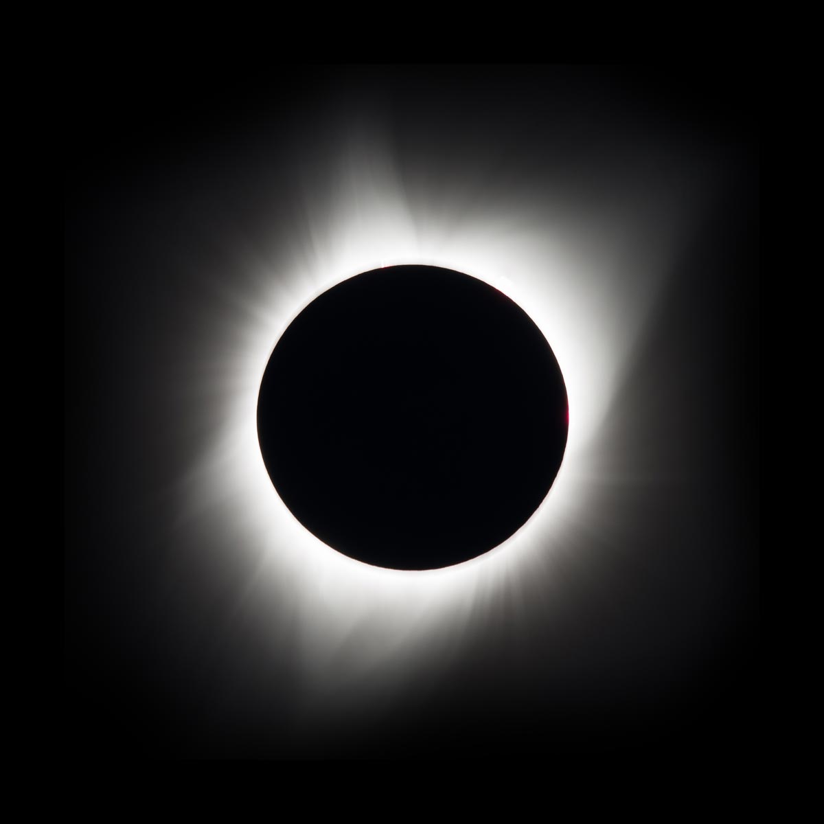 Total solar eclipse showing solar corona