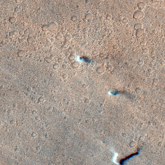 Dust devils exomars