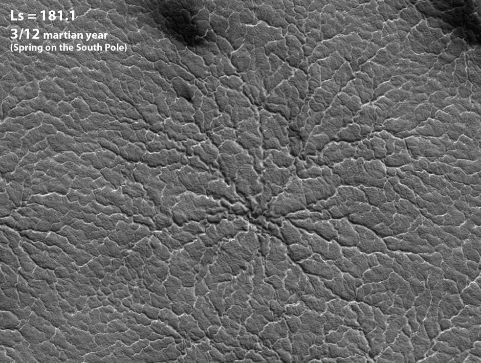 Seasonal changes of araneiforms ("spiders") near Mars' south pole