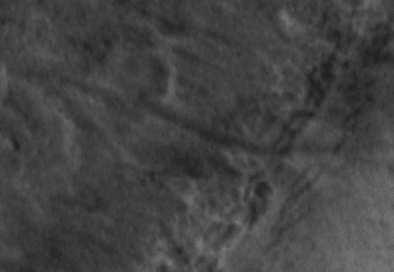 New gully deposit in Naruko Crater, Mars (flicker animation)