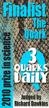 Finalist in the 3 Quarks Daily contest!