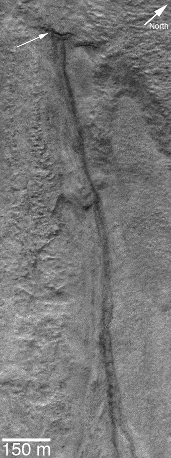 Martian mid-latitude gullies