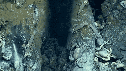 Hydrothermal vents on ocean floor