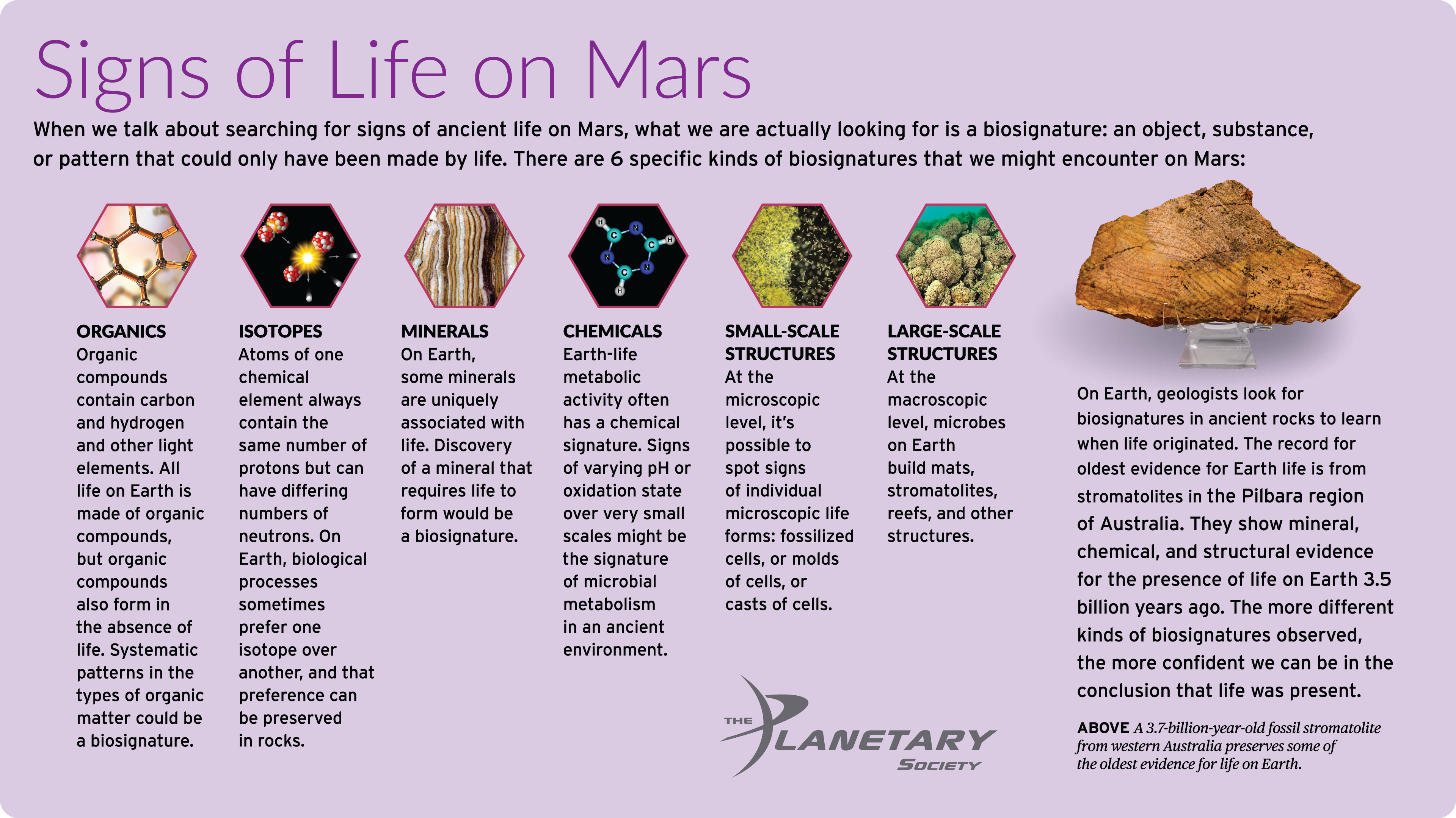 Signs of Life on Mars The Society
