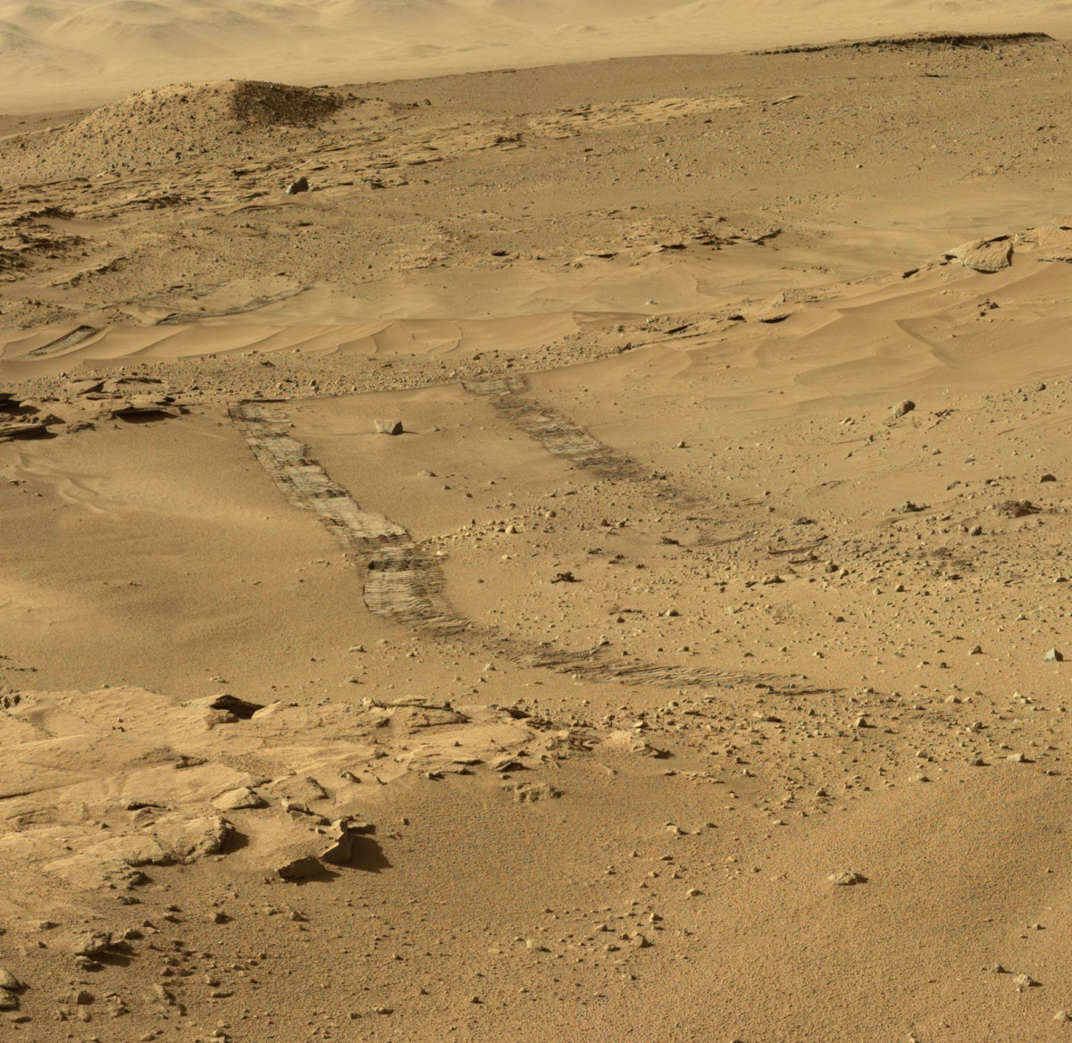Fresh Curiosity Tracks at The Kimberley | The Planetary Society
