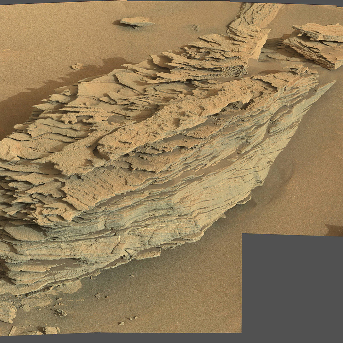 Solar snake | The Planetary Society