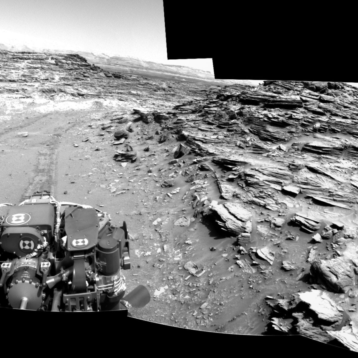 Signs of Life on Mars The Society