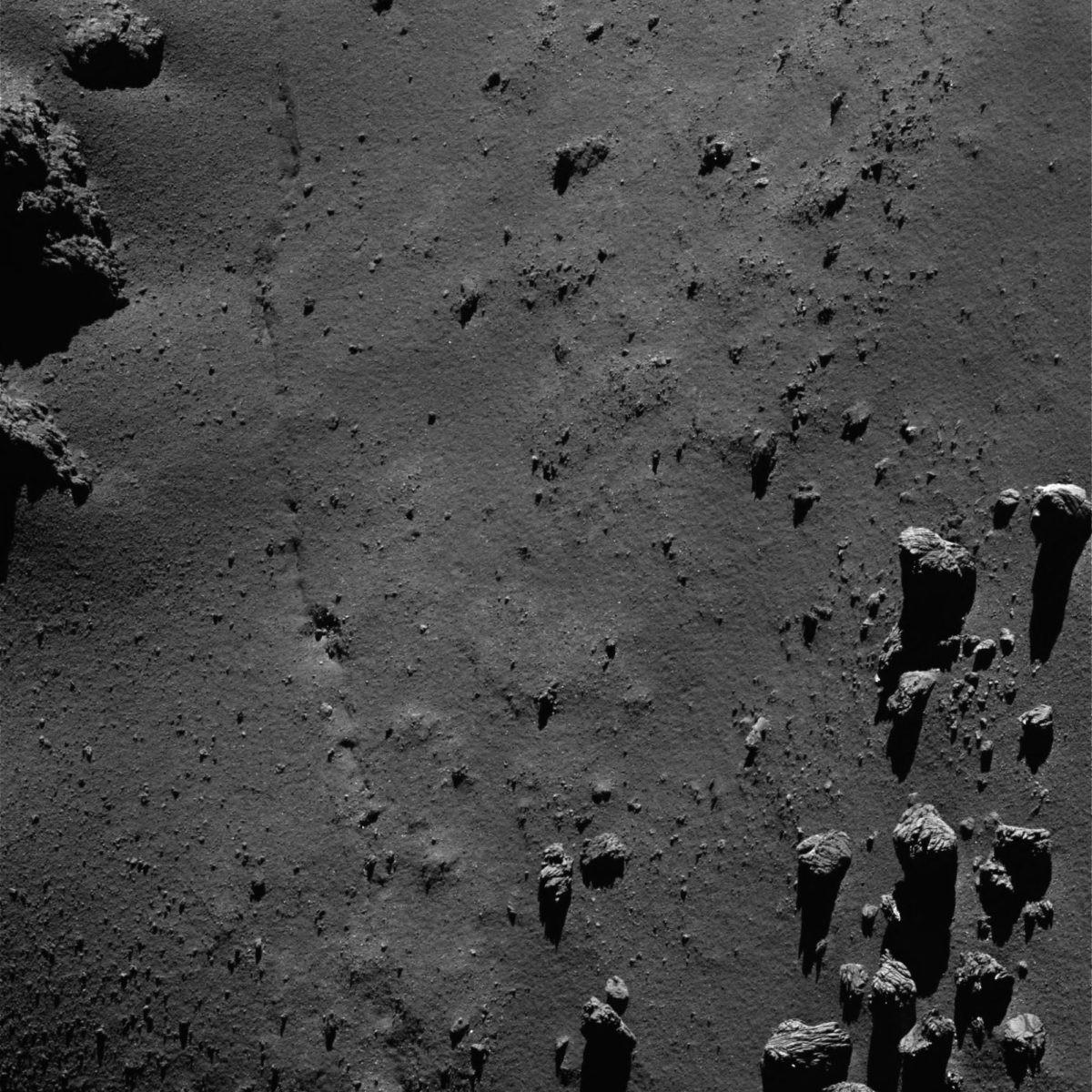 Signs of Life on Mars | The Planetary Society