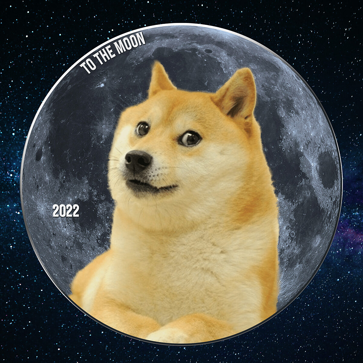 Dogecoin Moon Mission | The Planetary Society