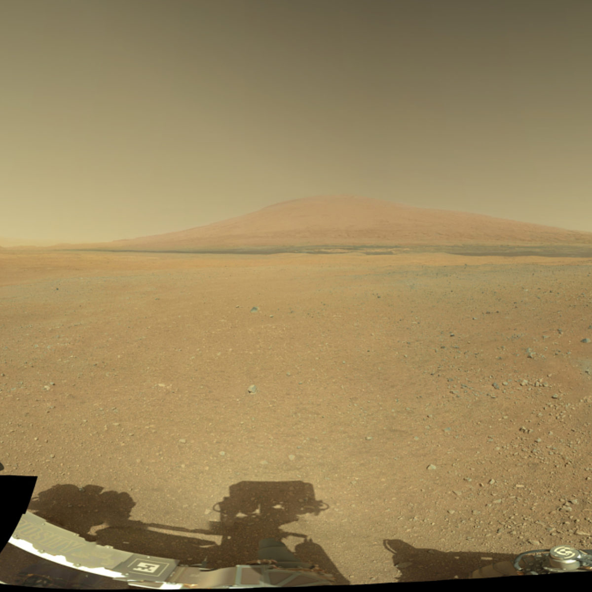 Discrete aurora on Mars The Society