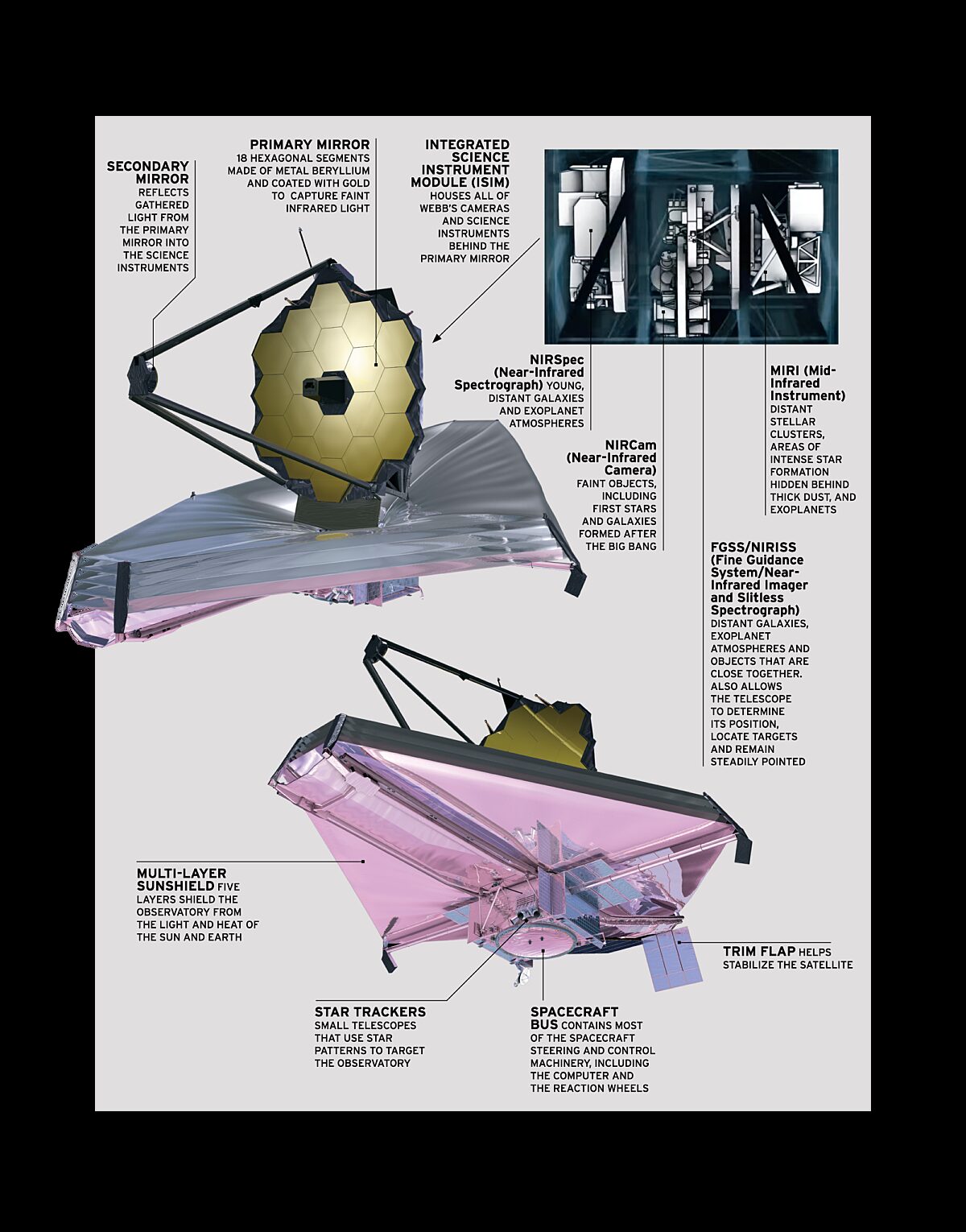 James Webb Space Telescope Main Elements | The Planetary Society