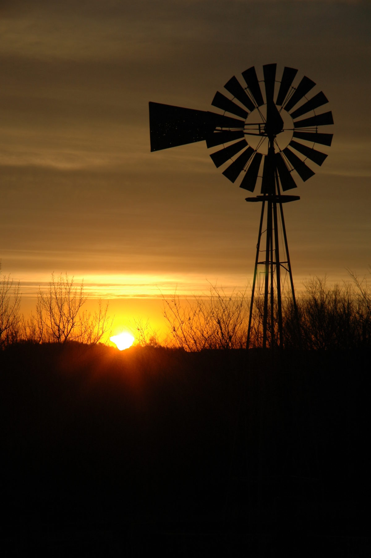 Sunrise, captured four miles south of Ravenna | The Planetary Society