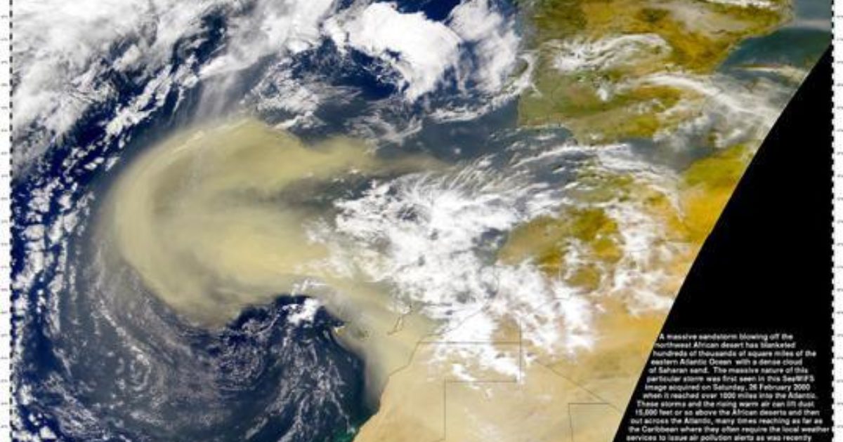 African sandstorm as seen by SeaWiFS The Society