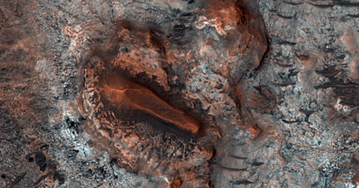 Mawrth Vallis The Society