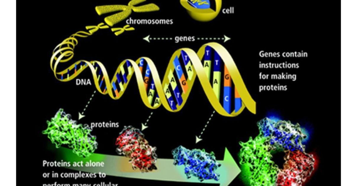 Basic mechanisms of biochemistry | The Planetary Society