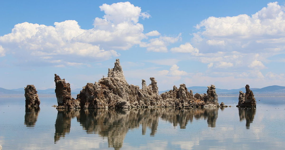 Mono Lake The Society