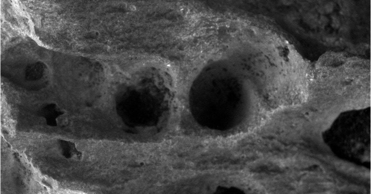 The Mars Exploration Rovers Update:… | The Planetary Society