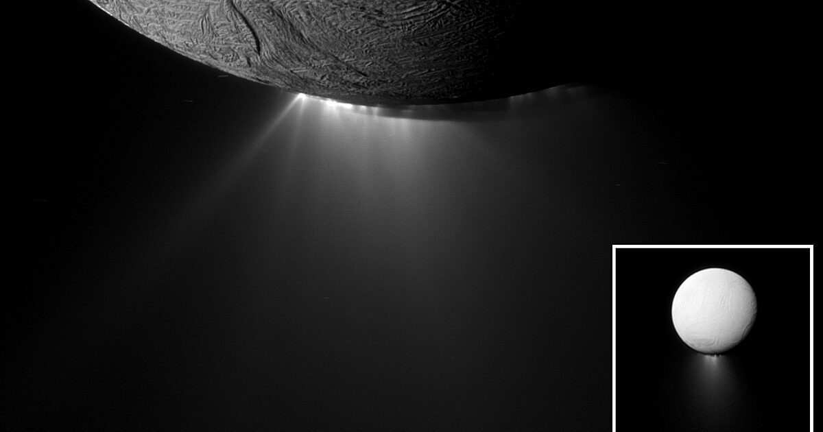 The best places to search for life in our Solar System