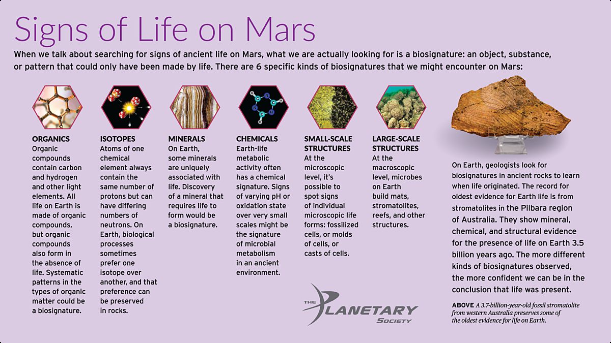 Signs of Life on Mars The Society