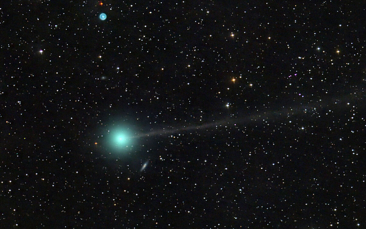How to see newly discovered Comet Nishimura